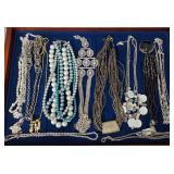 Various Necklaces in Case