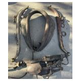 VTG Carriage Horse Harness & Hames