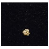 Tiny Gold Nugget #7