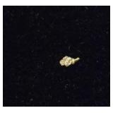 Tiny Gold Nugget #3