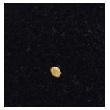 Tiny Gold Nugget #5