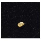 Tiny Gold Nugget #1