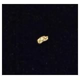 Tiny Gold Nugget #6