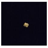 Tiny Gold Nugget #4