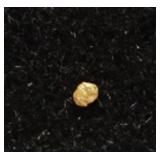 Tiny Gold Nugget #2