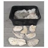 Assortment of Seashells & Sand