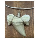 Sand Tiger Shark Tooth Fossil Necklace