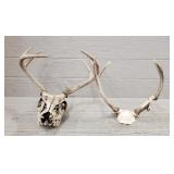 4ï¿½4 Deer Skull & 2ï¿½2 Deer Skull Cap