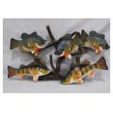 awesome 5 fish collage by >>