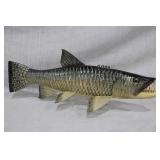 16 inch carved scale Barracuda >