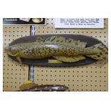 marked Burbot >>