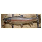 Rainbow Trout Mount;