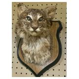 Bobcat Head Mount;