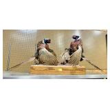 Pair of Fighting Pheasants;