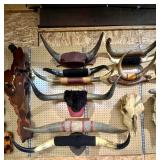 Various Mounted Bull Horns;