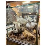 Ptarmagan & Ermine Taxidermy Display>