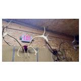 Antler Mounts;