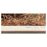 "Abandoned Fenceline- Pheasants">