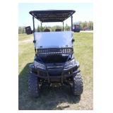 electric golf cart >