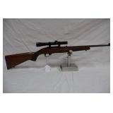30. Ruger 10/22 >