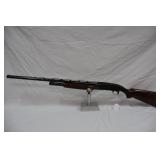 slide action 12ga >
