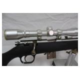 stainless steel rifle >