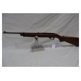 semi auto 22cal carbine >