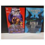 2 DC Graphic Novels