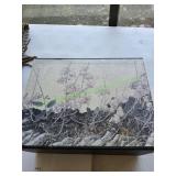 The Grand Trend of Modern Chinese Paintings Books