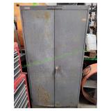 Dayton Metal Utility Cabinet