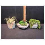(3) Faux Succulent Plant Dï¿½cor