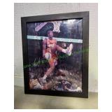 Amare Stoudemire Signed Photo