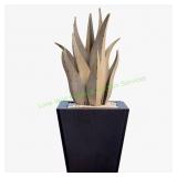 Desert Steel Snake Agave & Planter Set
