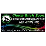 BIDDING OPENS WEDNESDAY, August 19th at 10PM
