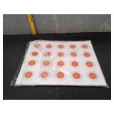 Outdoor Products Plus Targets