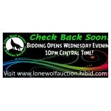 BIDDING OPENS WEDNESDAY, September 2nd at 10PM