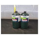 Bernzomatic Propane Camping Gas, 2pk
