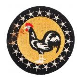 WWII USAAF 19th FIGHTER SQ, 318th FG, 7th AF PATCH