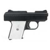 RAVEN ARMS MODEL P-25 .25 AUTO CALIBER PISTOL
