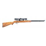 SEARS MODEL 25 .22 S-L-LR CALIBER SEMI AUTO RIFLE