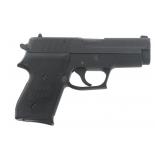 SIG SAUER P245 .45 ACP SEMI-AUTOMATIC PISTOL