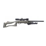 RUGER MODEL 10/22 .22 LR CALIBER SEMI AUTO RIFLE