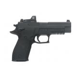 SIG SAUER MODEL 226 9x19mm CALIBER PISTOL