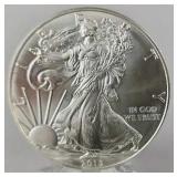2013 1oz American Silver Eagle