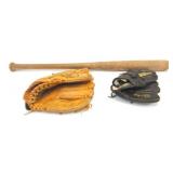 Bat is Little League Ted Williams model. Also   in