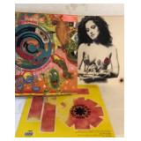 RED HOT CHILLI PEPPERS LP 12" Vinyl Collection