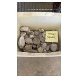 Petosky Stones in Mini Trash Can