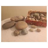 Petoskey Stone Turtle and Assorted Rocks