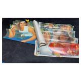 Farrah Fawcett & Shaun Cassidy Posters (6)