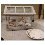 Assorted Sea Shells & Rocks